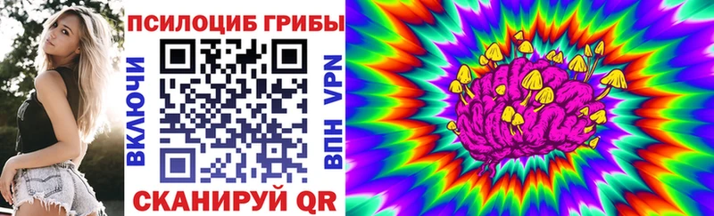Купить где  Дубна  Псилоцибиновые грибы MAGIC MUSHROOMS 